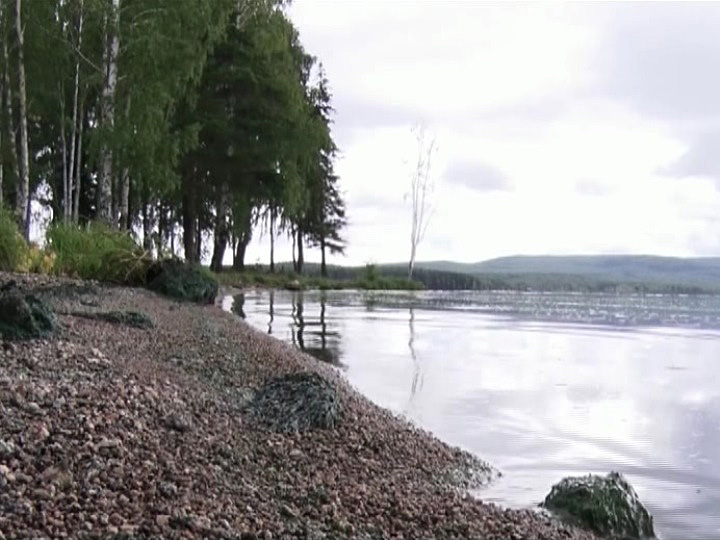 Минприроды взяло под контроль реабилитацию Черноисточинского водохранилища