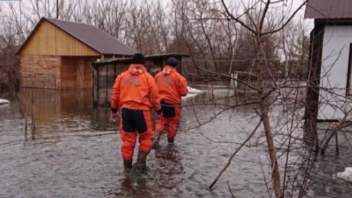 Рука помощи: уральские спасатели борются с паводком в Алтайском крае