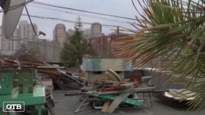 Работники УК в Екатеринбурге уничтожили 18-летний сад на крыше многоэтажки