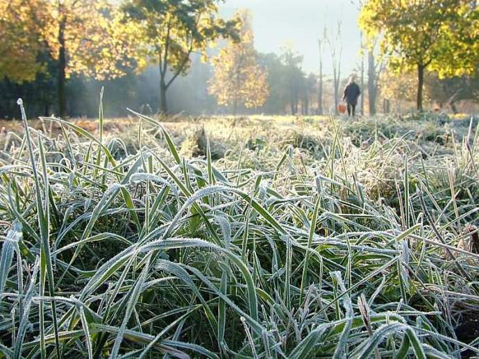Тепло и снова заморозки: погода на Среднем Урале в конце недели