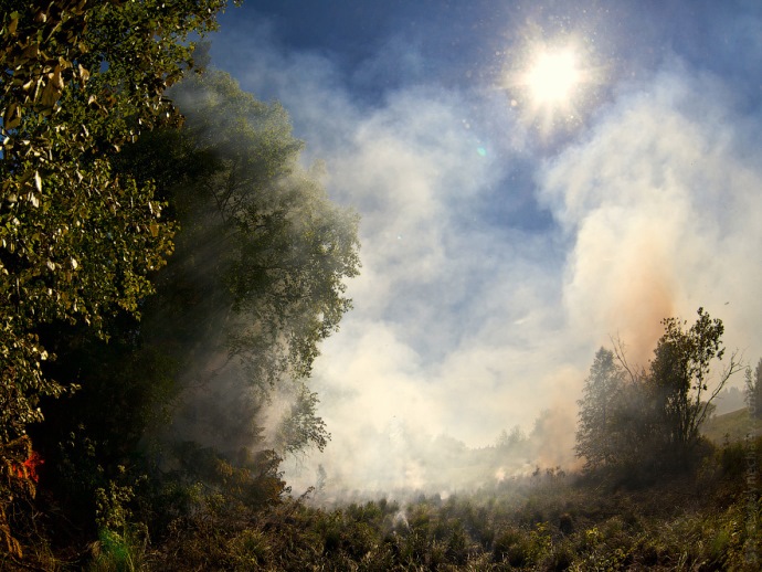 30 свердловских парашютистов-десантников тушат лесные пожары на Ямале