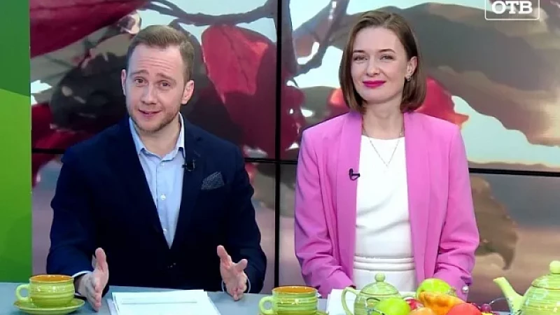 Выпуск "Свердловского утра" от 21.11.23