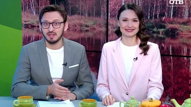 Выпуск "Свердловского утра" от 08.11.23