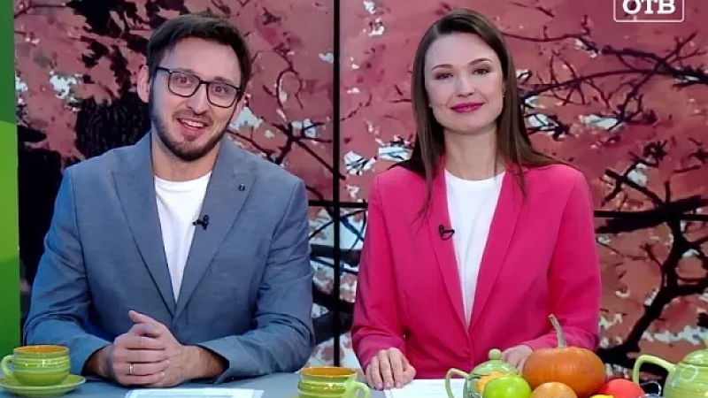 Выпуск "Свердловского утра" от 03.11.23