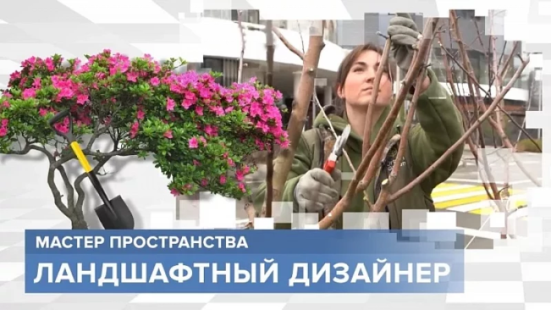«Тружусь и горжусь». Профессия - ландшафтный дизайнер