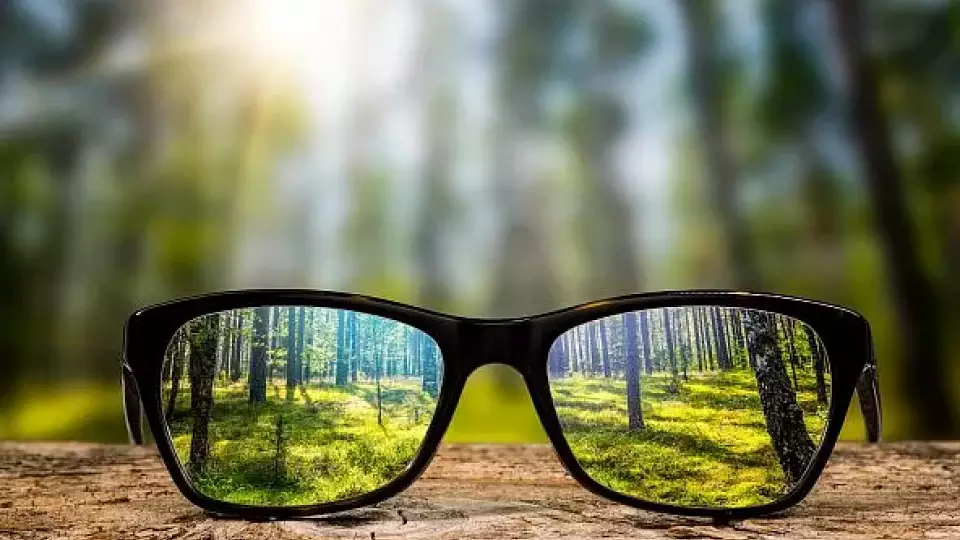 Екатеринбургская компания попалась на неуплате 41 млн налогов