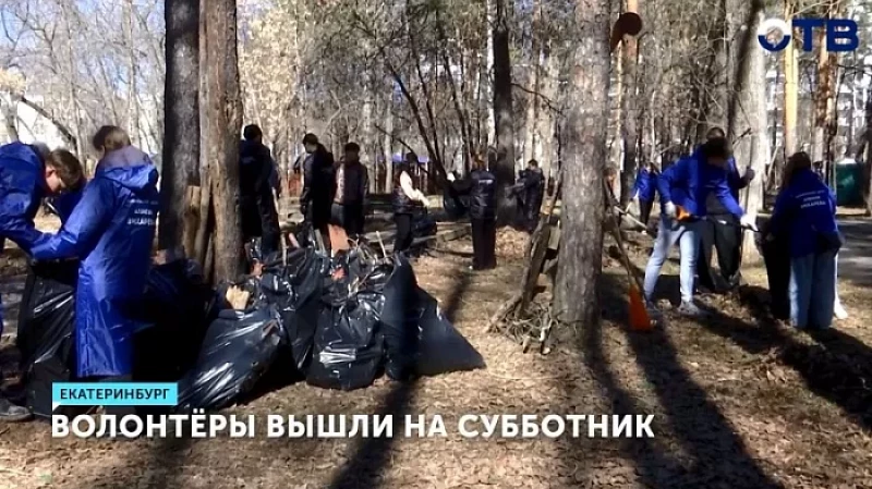 Волонтёры вышли на субботник