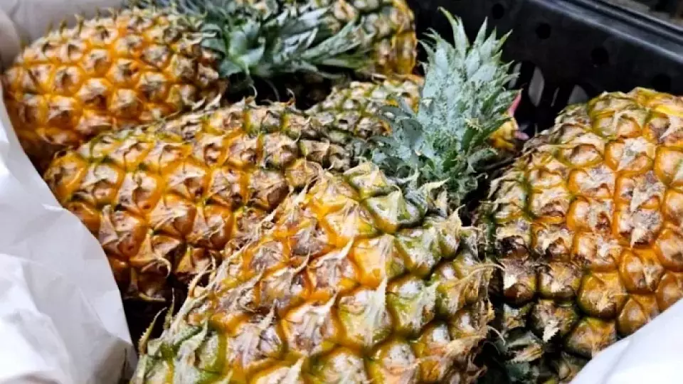 В Екатеринбург привезли 8 тонн экзотических фруктов