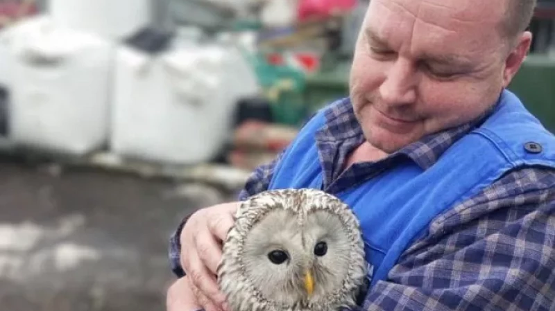 В Самаре на Волге спасли совенка