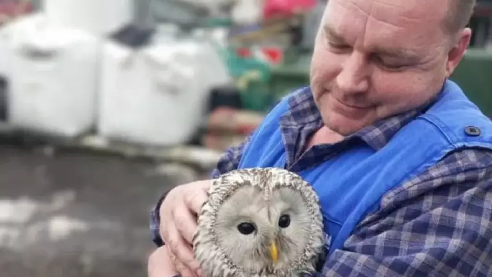 В Самаре на Волге спасли совенка