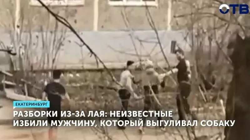 Разборки из-за лая: неизвестные избили мужчину, который выгуливал собаку