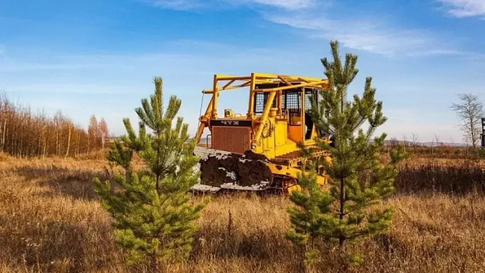 С 12 апреля в Свердловской области вводится особый противопожарный режим