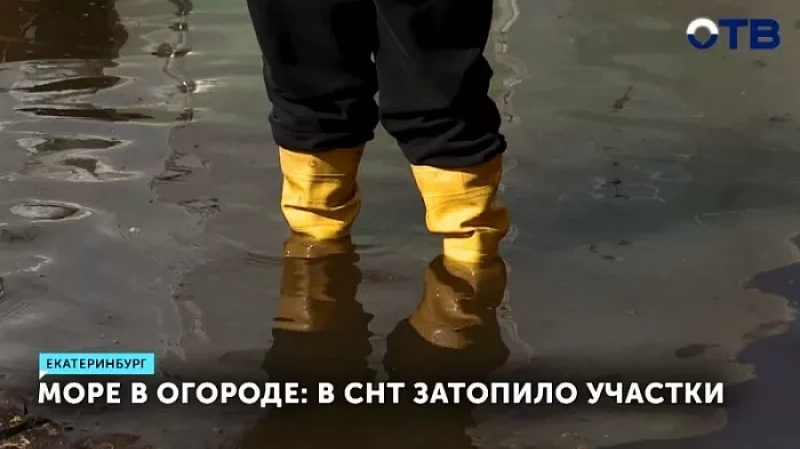Море в огороде: в СНТ затопило участки