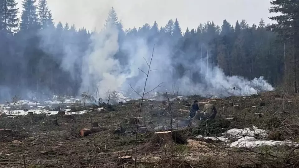 В Свердловской области вступил в силу противопожарный режим