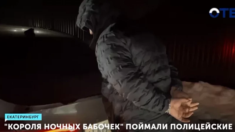 «Короля ночных бабочек» поймали полицейские