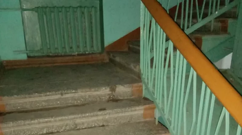 Нижегородцы несколько лет прожили в одном доме с мумией