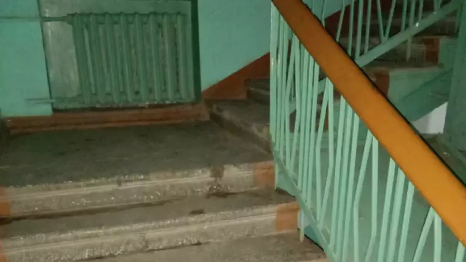 Нижегородцы несколько лет прожили в одном доме с мумией