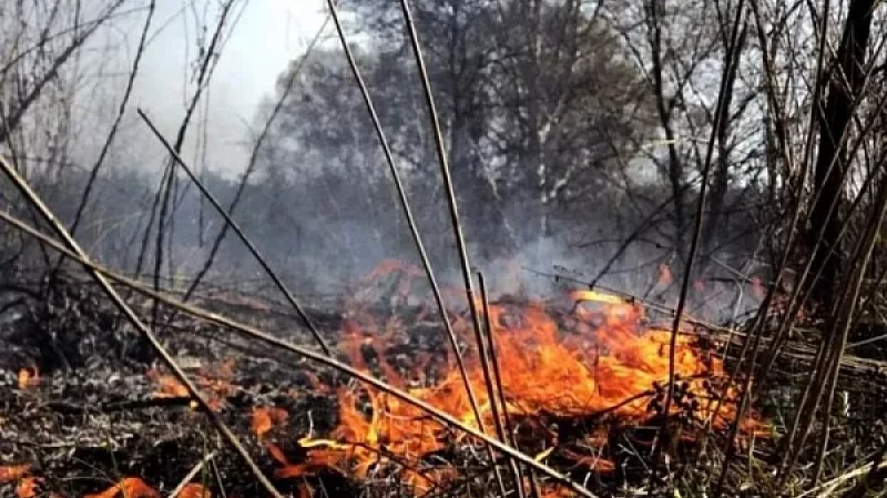 Пожароопасный сезон в Свердловской области начнется на 5 дней раньше