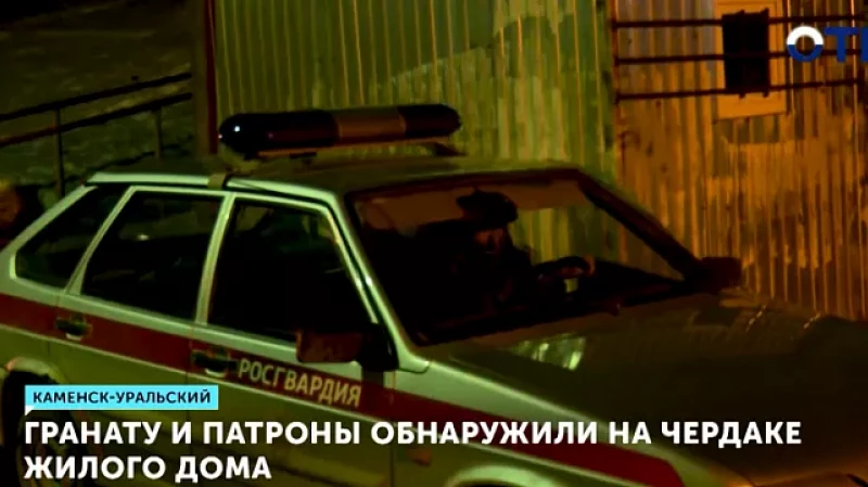 Гранату и патроны обнаружили на чердаке жилого дома