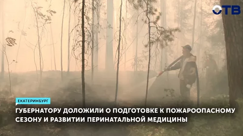 Губернатору доложили о подготовке к пожароопасному сезону и развитии перинатальной медицины