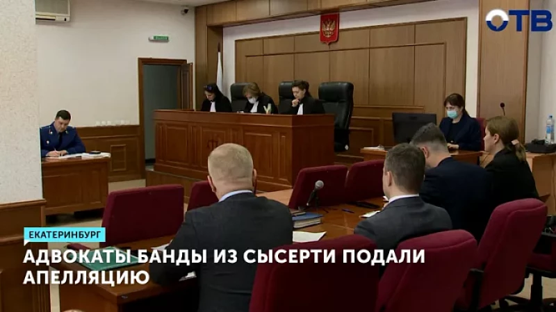Адвокаты банды из Сысерти подали апелляцию