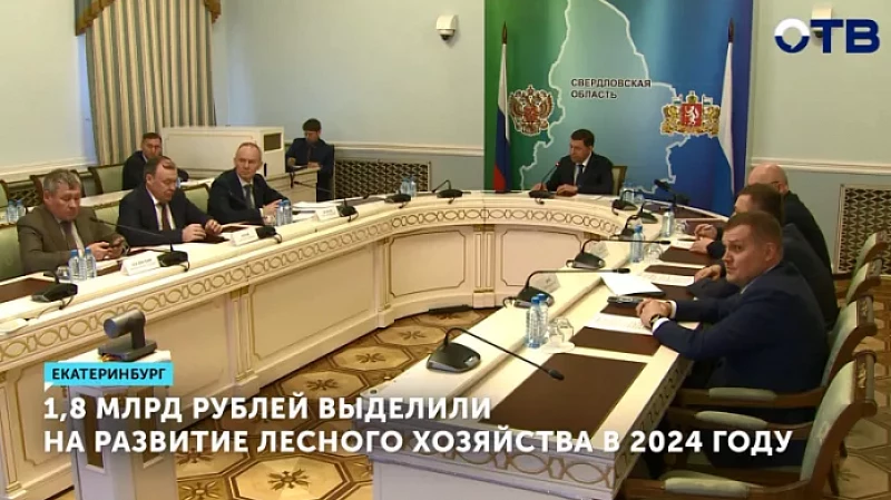 1,8 млрд рублей выделили на развитие лесного хозяйства в 2024 году