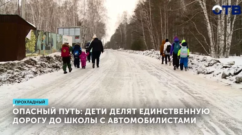 Опасный путь: дети делят единственную дорогу до школы с автомобилистами