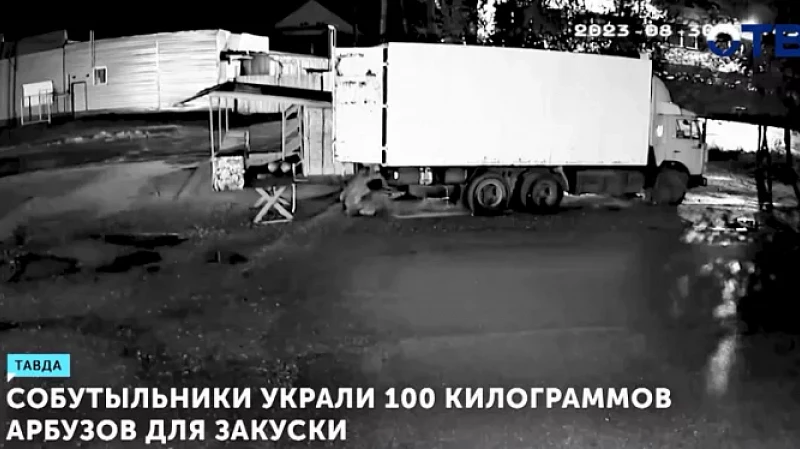 Собутыльники украли 100 кг арбузов для закуски