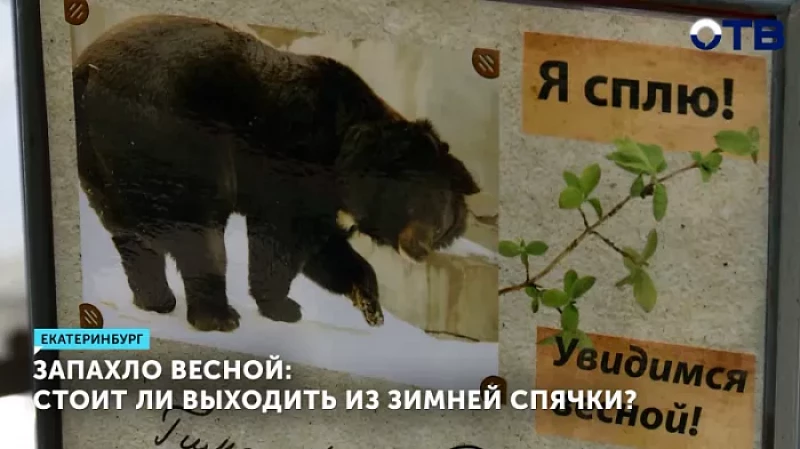 Запахло весной: стоит ли выходить из зимней спячки?