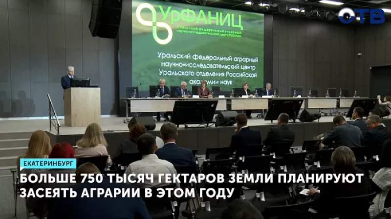 Больше 750 тысяч гектаров земли планируют засеять аграрии в 2024 году