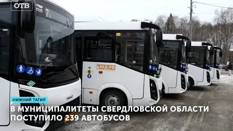 В муниципалитеты Свердловской области поступило 239 автобусов