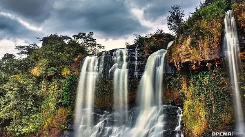 Выставка «Дикая природа Бразилии» открылась в Русском музее фотографии