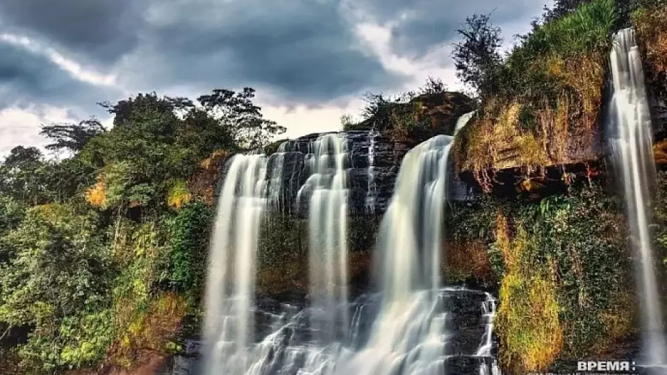 Выставка «Дикая природа Бразилии» открылась в Русском музее фотографии