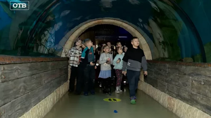 «Верный отличник»: мечты сбываются. Школьники побывали в Океанариуме