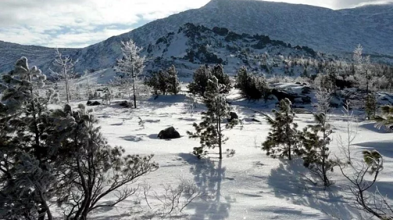 Мобильная связь пришла в тайгу