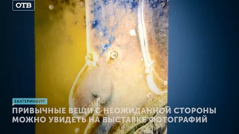 Привычные вещи с неожиданной стороны можно увидеть на выставке фотографий