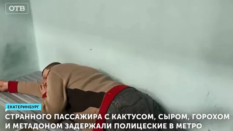 Пассажира с кактусом, сыром, горохом и метадоном задержали в метро
