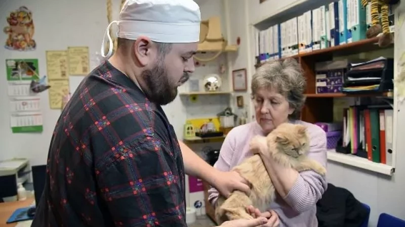 В Екатеринбурге ветврачи бесплатно простерилизуют более тысячи домашних животных