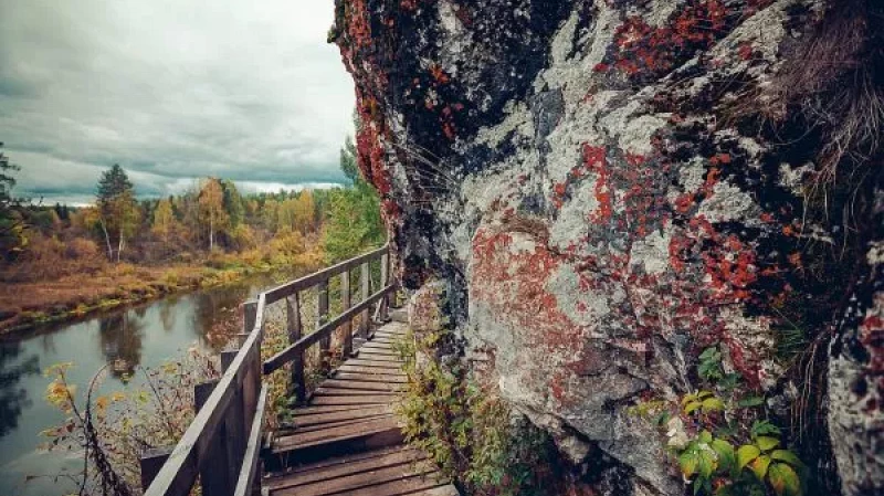 В Свердловской области обнаружена аномальная зона