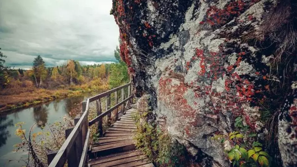В Свердловской области обнаружена аномальная зона