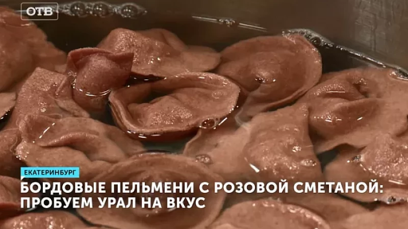 Бордовые пельмени с розовой сметаной: пробуем Урал на вкус