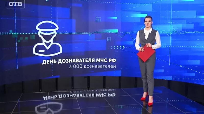 День дознавателя МЧС РФ