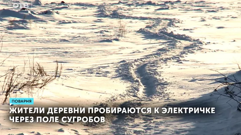 Жители деревни пробираются к электричке через поле сугробов