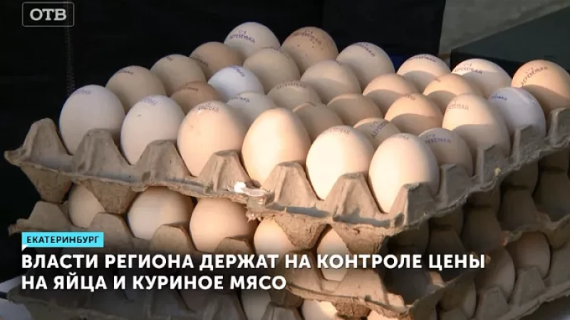 Власти региона держат на контроле цены на яйца и куриное мясо