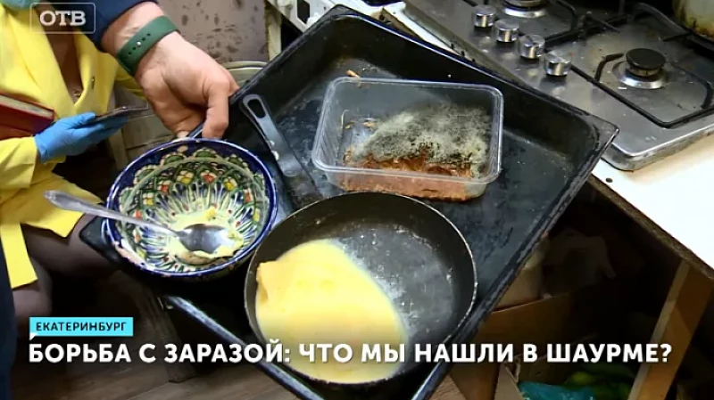 Борьба с заразой: что мы нашли в шаурме?