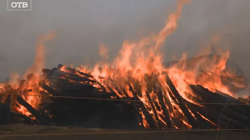 Испытание огнём: жизнь с чистого листа
