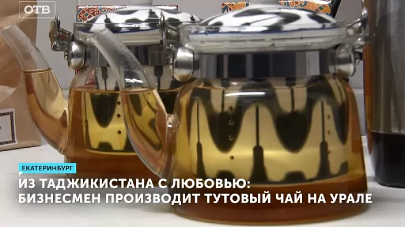 Из Таджикистана с любовью: бизнесмен производит тутовый чай на Урале