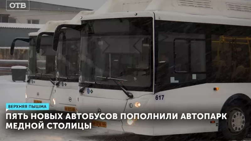 Пять новых автобусов пополнили автопарк Медной столицы