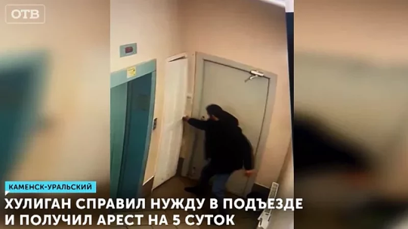 Хулиган справил нужду в подъезде и получил арест на 5 суток