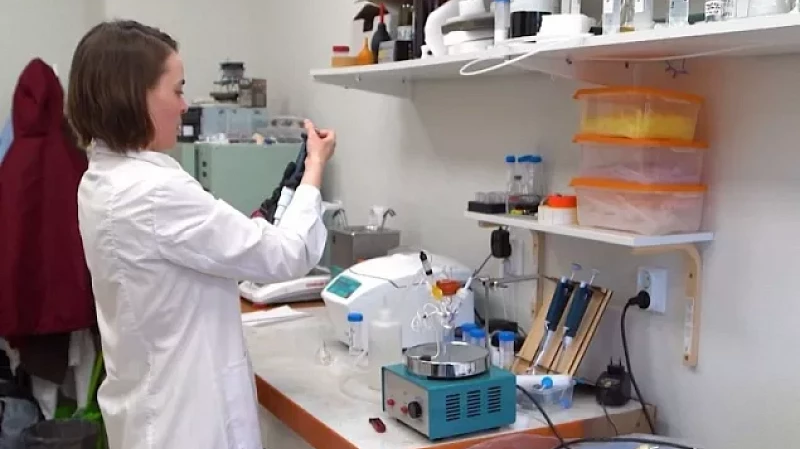 Какие профессии будут востребованы через 10 лет?